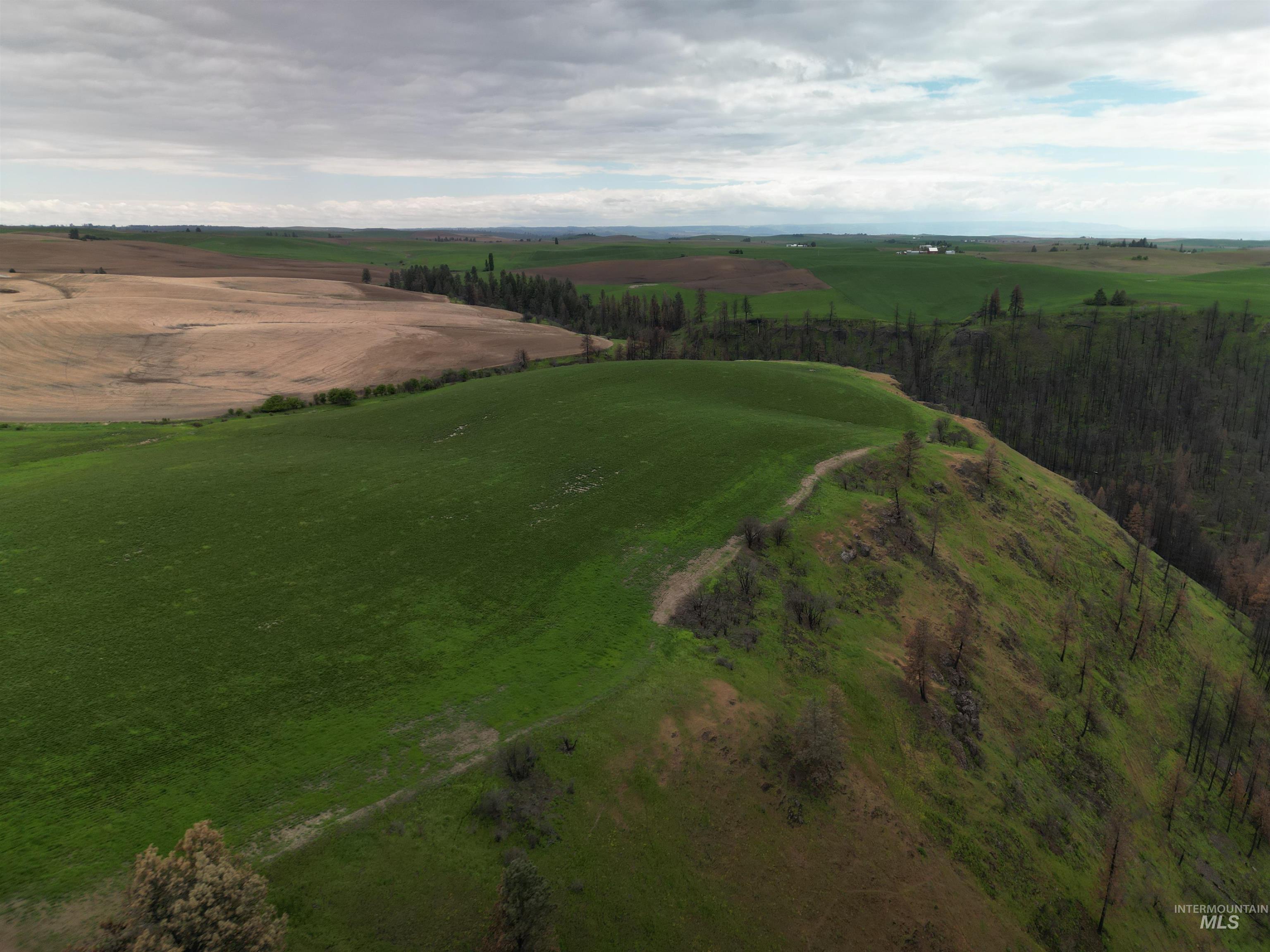 000 Wendt Rd., Kendrick, Idaho 83537, Land For Sale, Price $538,551,MLS 98937906