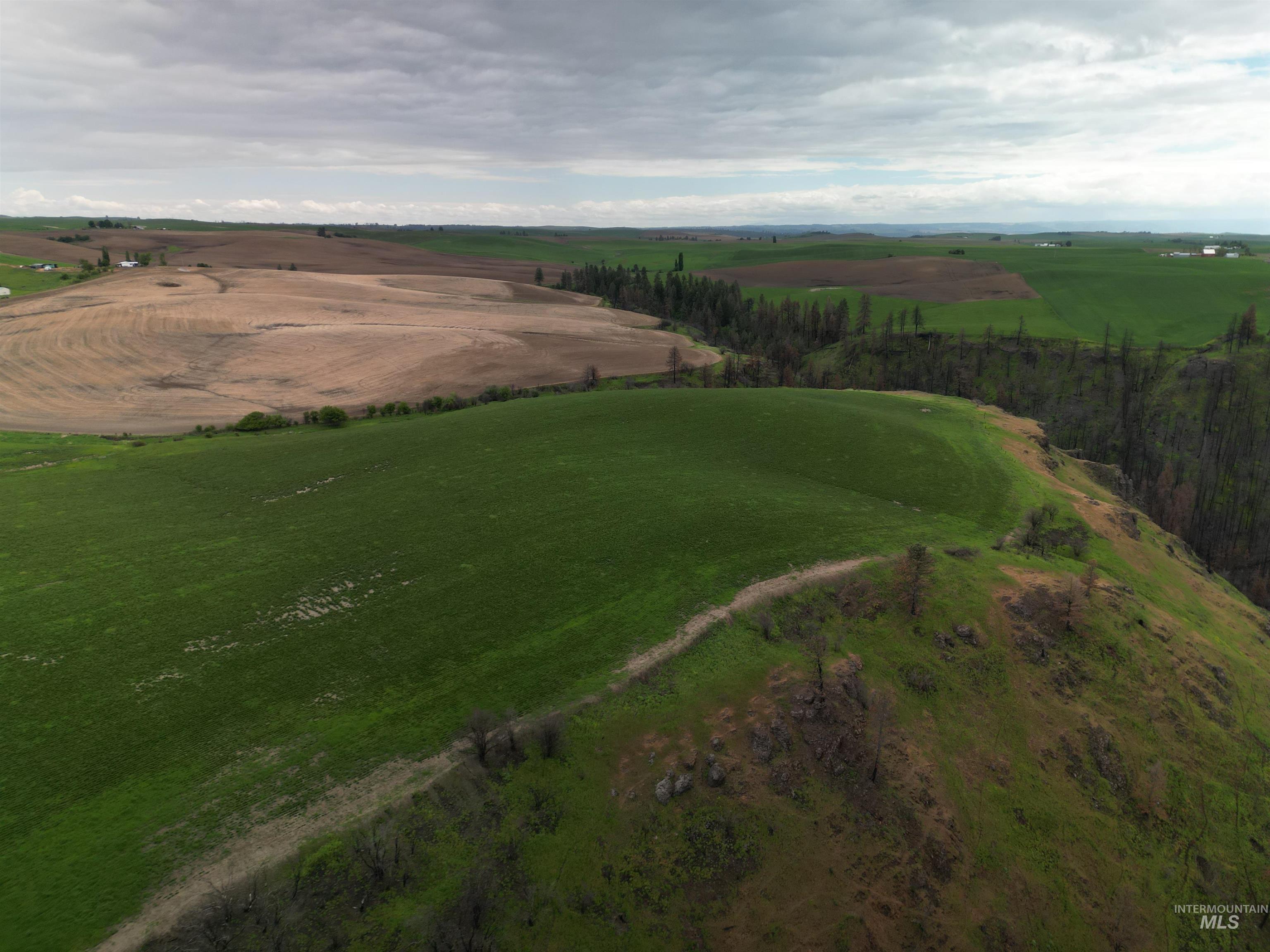 000 Wendt Rd., Kendrick, Idaho 83537, Land For Sale, Price $538,551,MLS 98937906