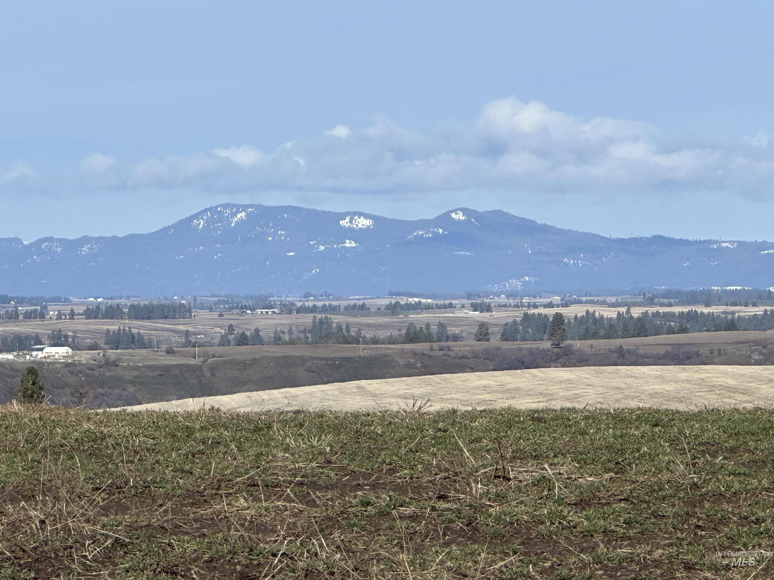 000 Wendt Rd., Kendrick, Idaho 83537, Land For Sale, Price $538,551,MLS 98937906