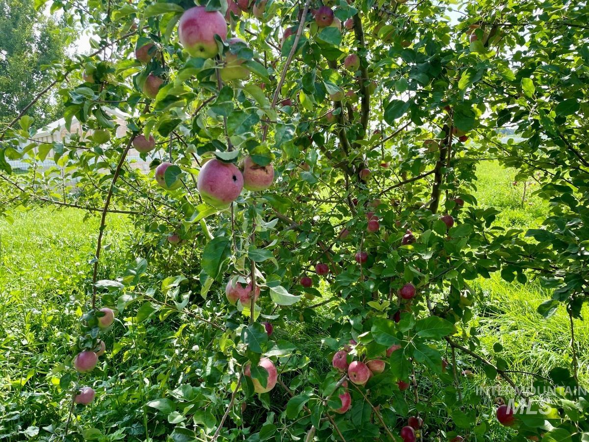 7825 S Chisum Way, Meridian, Idaho 83642-7172, 3 Bedrooms, 2 Bathrooms, Residential For Sale, Price $855,000,MLS 98937918