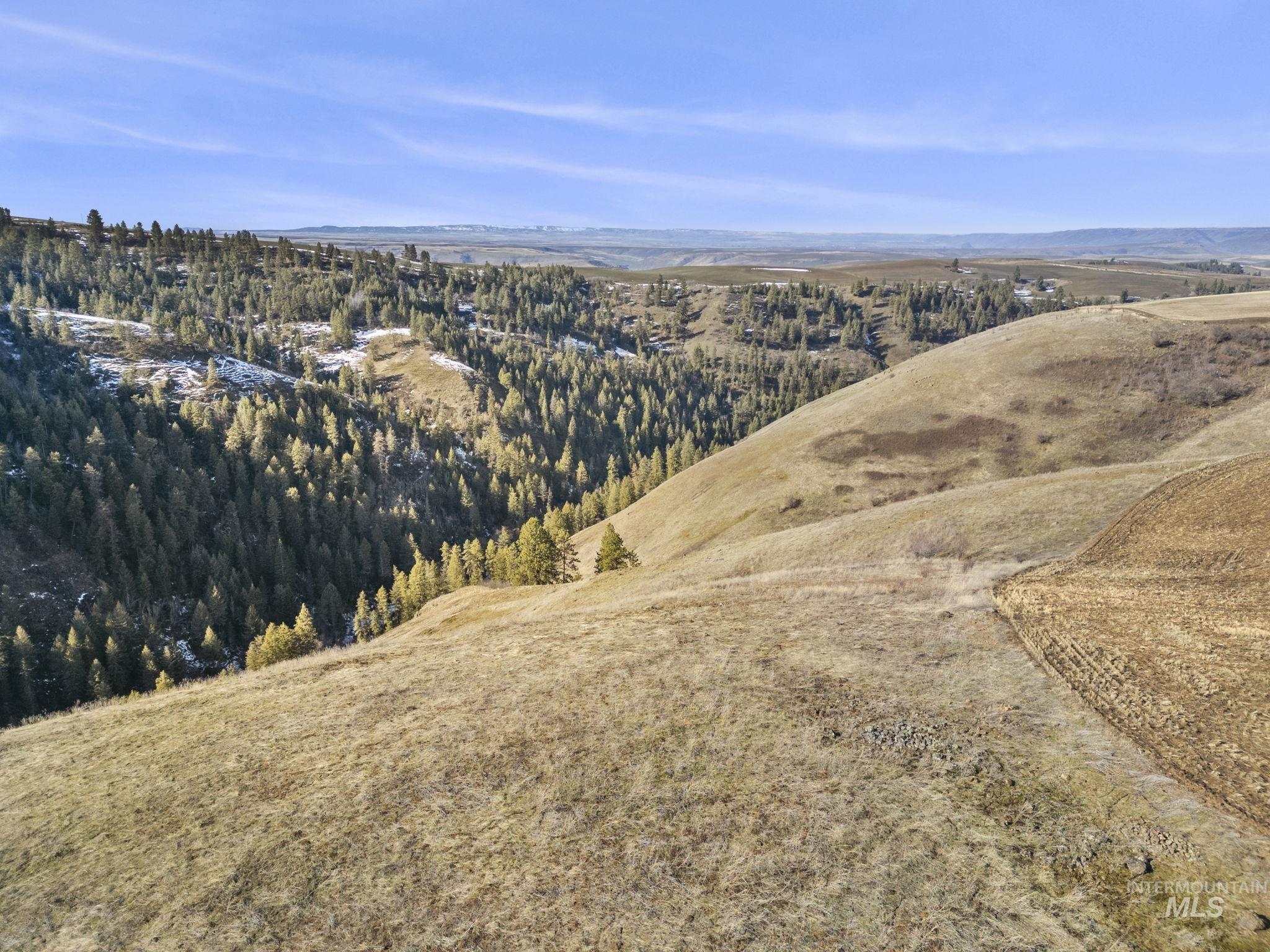 TBD Old Culdesac Road, Culdesac, Idaho 83524, Land For Sale, Price $315,000,MLS 98938179