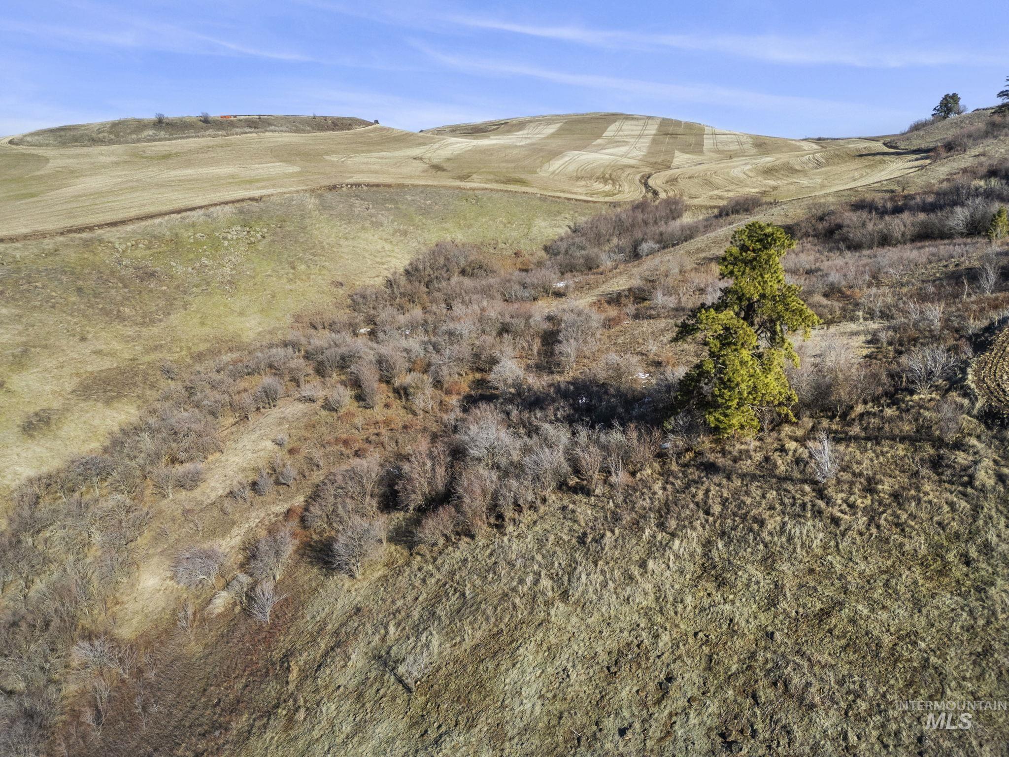 TBD Old Culdesac Road, Culdesac, Idaho 83524, Land For Sale, Price $315,000,MLS 98938179
