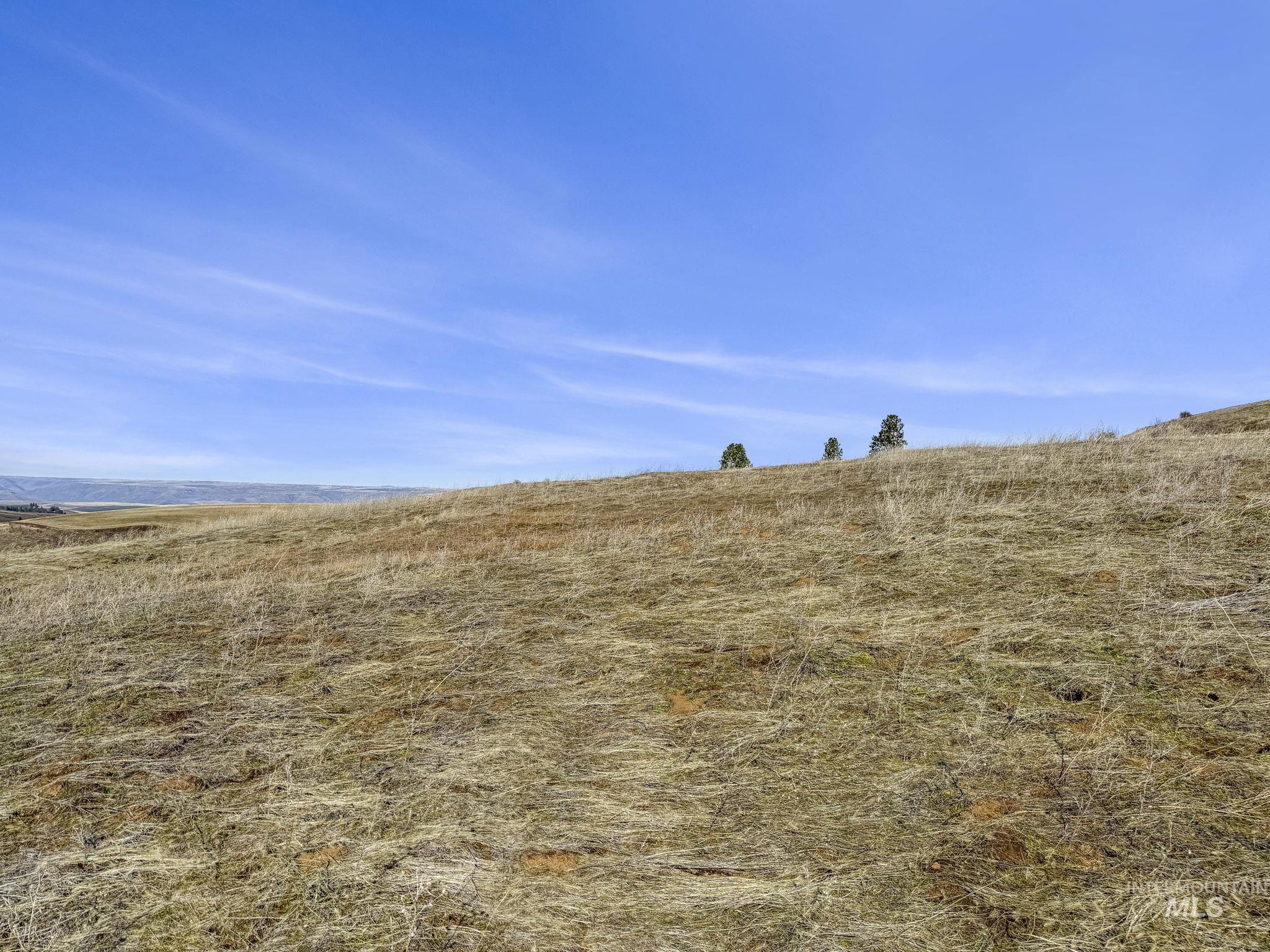 TBD Old Culdesac Road, Culdesac, Idaho 83524, Land For Sale, Price $315,000,MLS 98938179