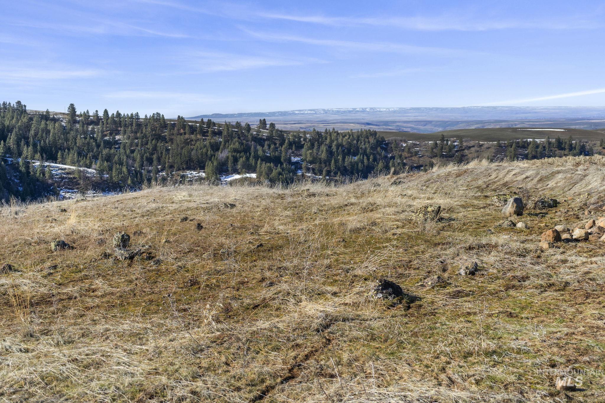 TBD Old Culdesac Road, Culdesac, Idaho 83524, Land For Sale, Price $315,000,MLS 98938179