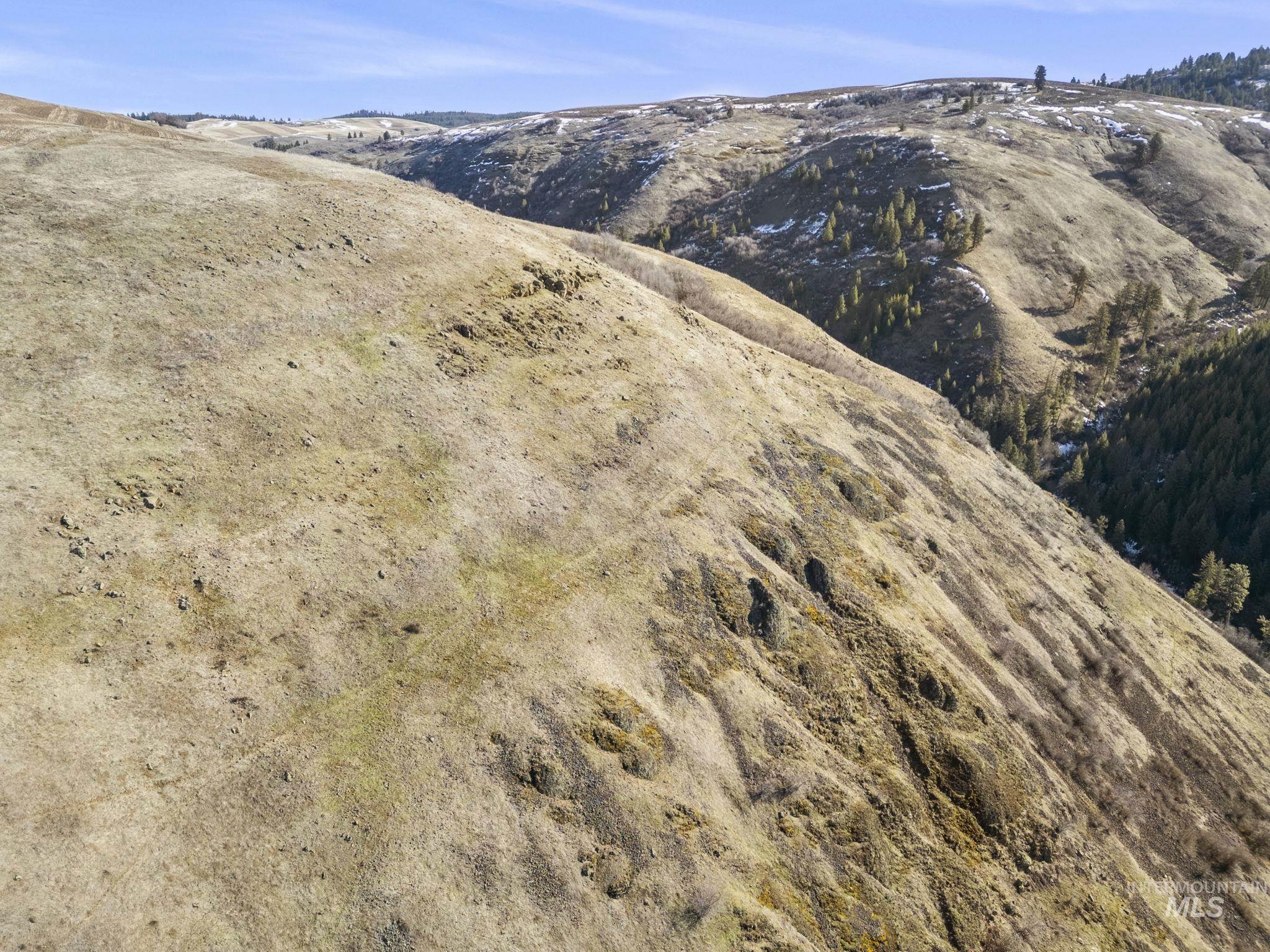 TBD Old Culdesac Road, Culdesac, Idaho 83524, Land For Sale, Price $315,000,MLS 98938179