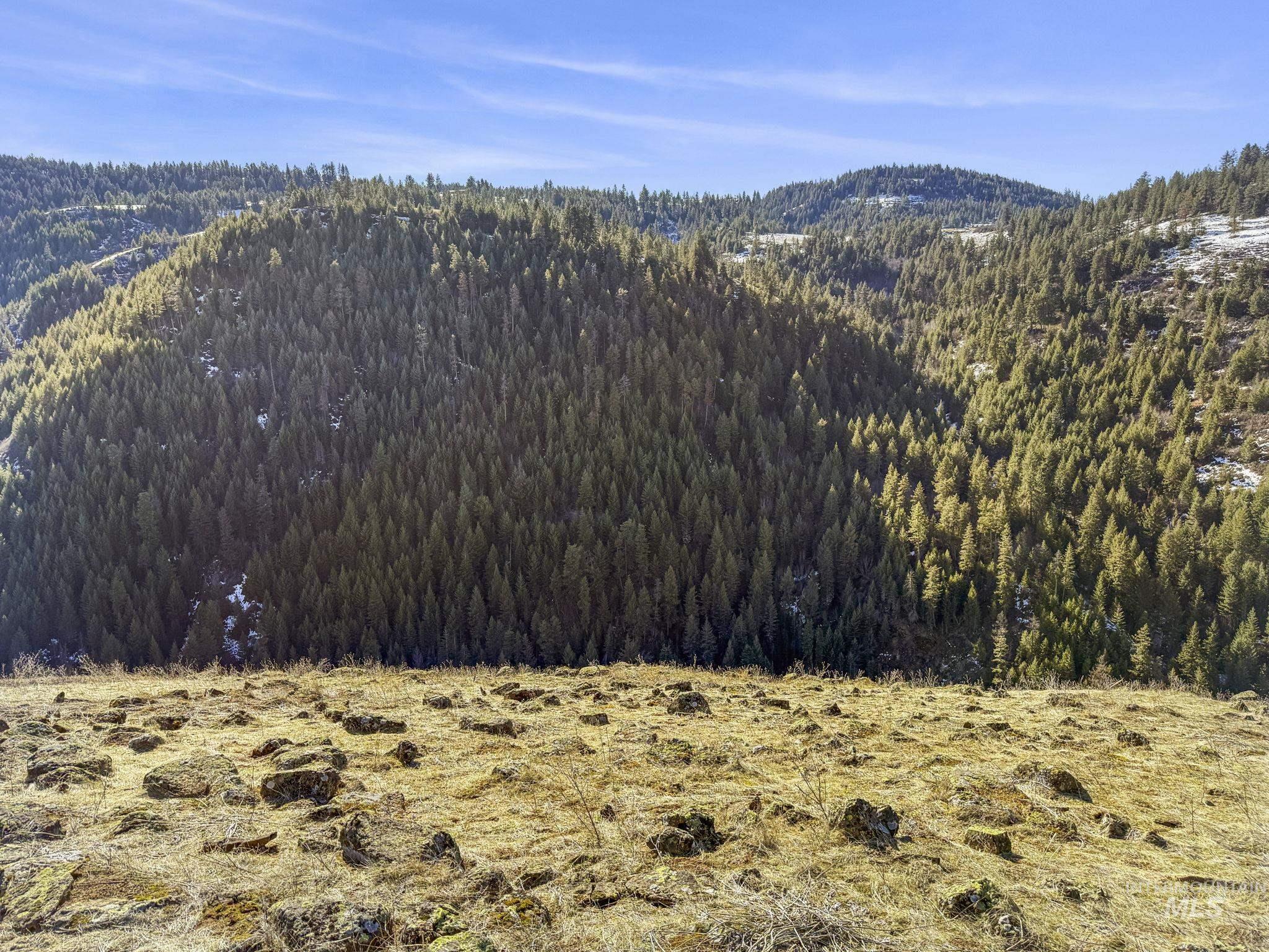 TBD Old Culdesac Road, Culdesac, Idaho 83524, Land For Sale, Price $315,000,MLS 98938179