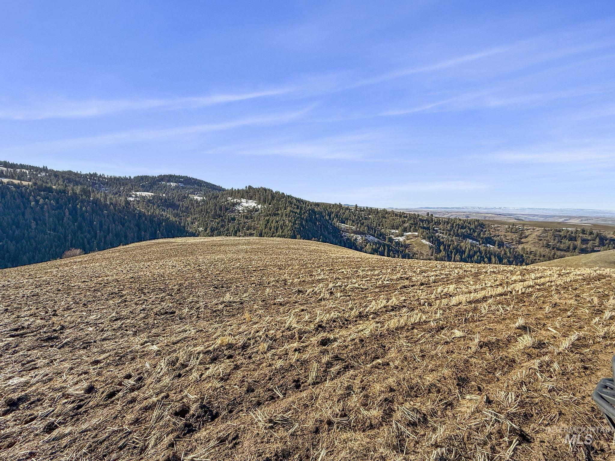 TBD Old Culdesac Road, Culdesac, Idaho 83524, Land For Sale, Price $315,000,MLS 98938179