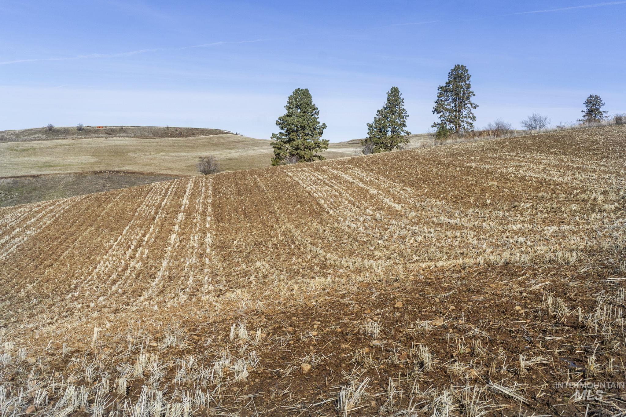 TBD Old Culdesac Road, Culdesac, Idaho 83524, Land For Sale, Price $315,000,MLS 98938179