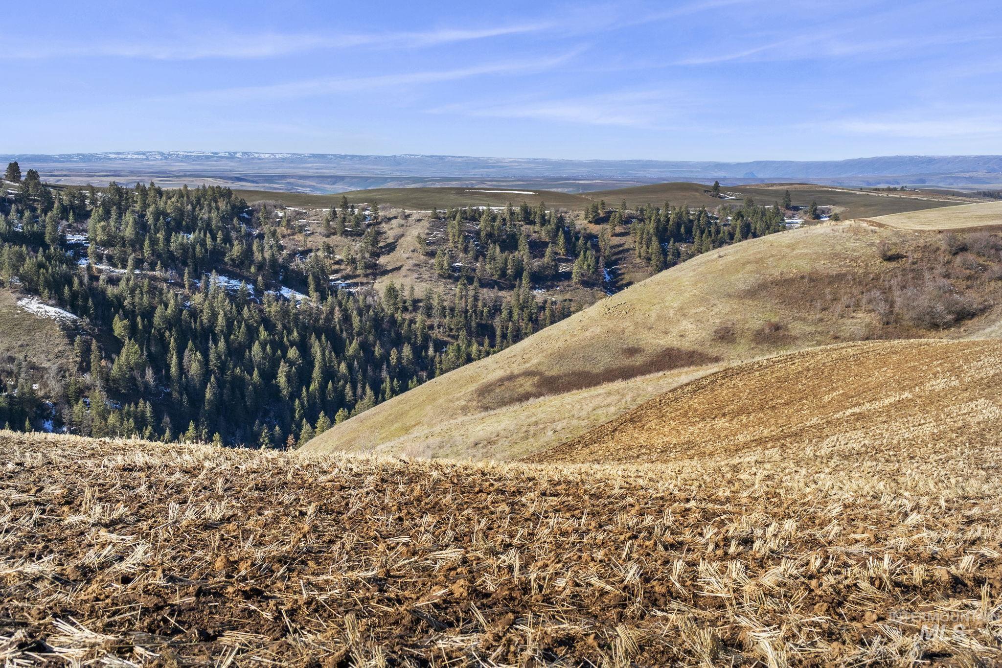 TBD Old Culdesac Road, Culdesac, Idaho 83524, Land For Sale, Price $315,000,MLS 98938179