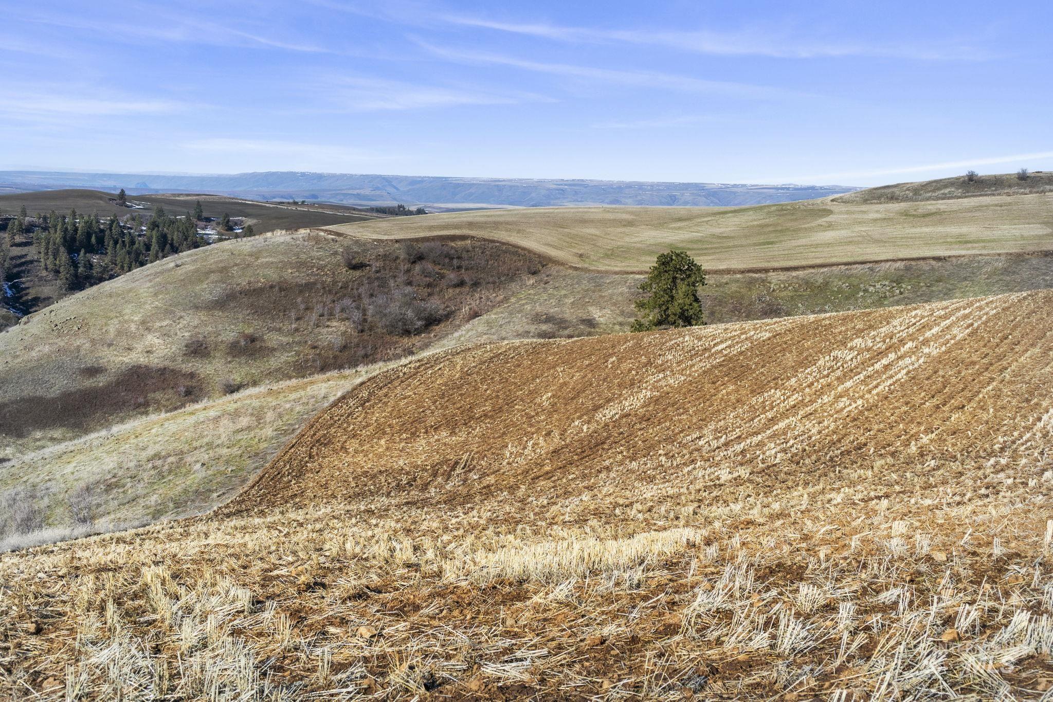 TBD Old Culdesac Road, Culdesac, Idaho 83524, Land For Sale, Price $315,000,MLS 98938179