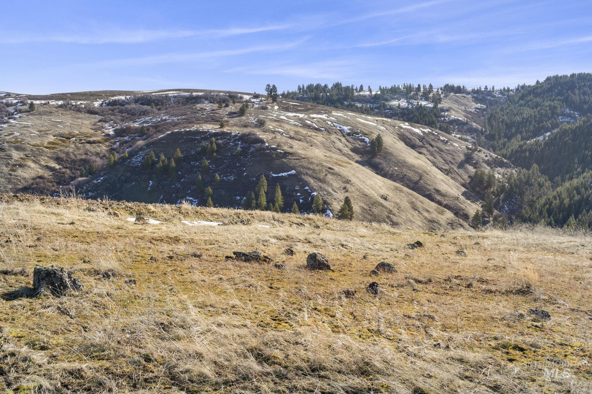 TBD Old Culdesac Road, Culdesac, Idaho 83524, Land For Sale, Price $315,000,MLS 98938179