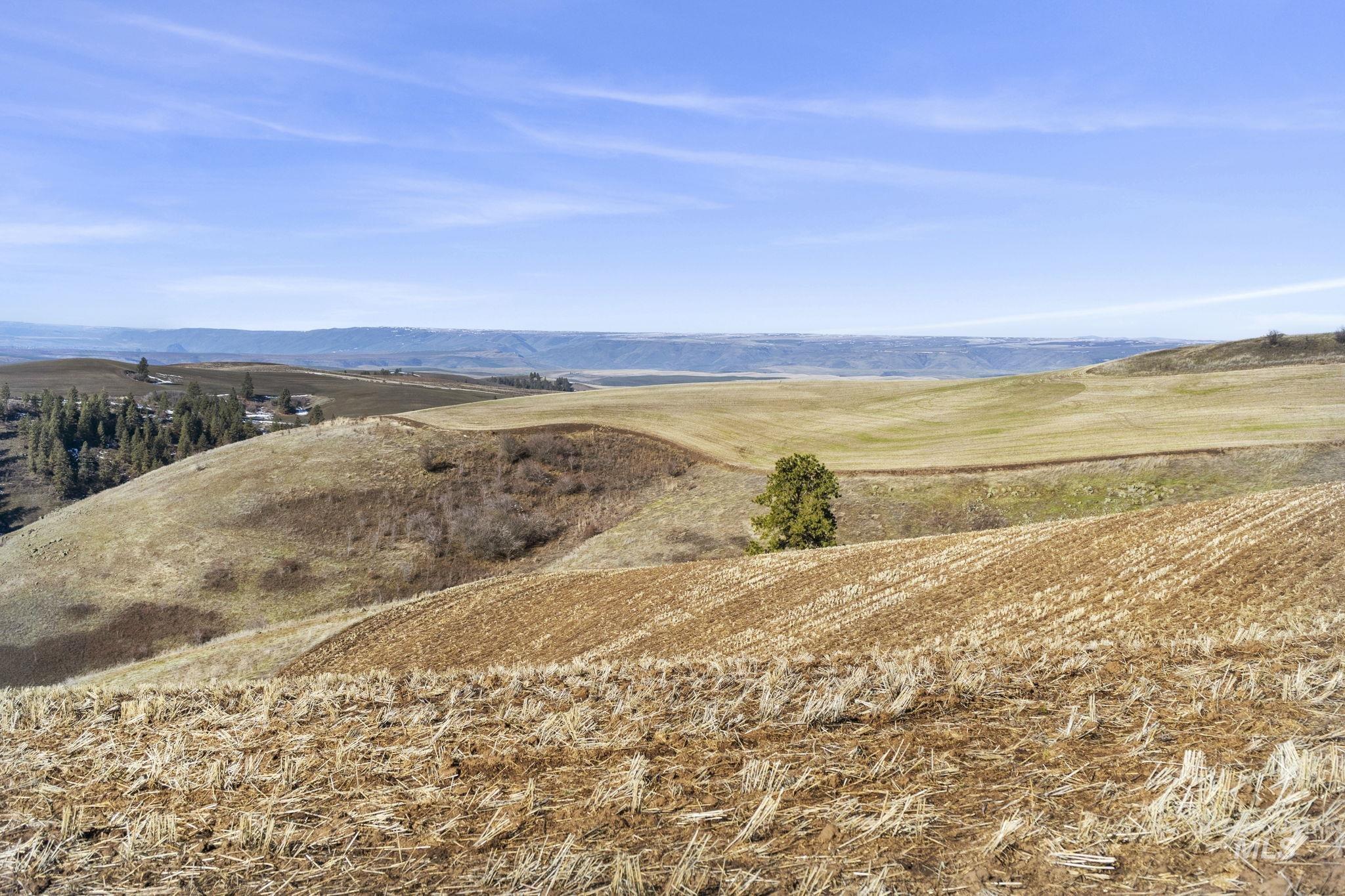 TBD Old Culdesac Road, Culdesac, Idaho 83524, Land For Sale, Price $315,000,MLS 98938179