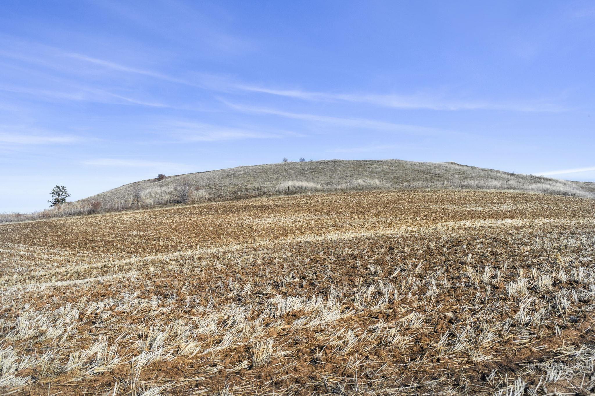 TBD Old Culdesac Road, Culdesac, Idaho 83524, Land For Sale, Price $315,000,MLS 98938179