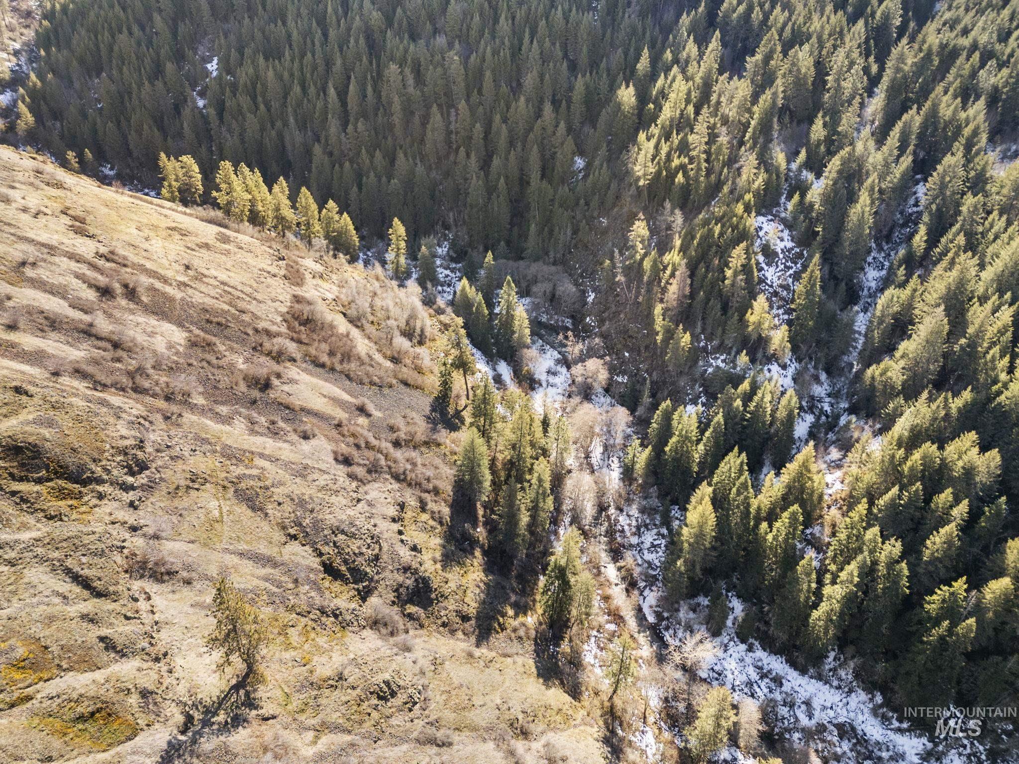 TBD Old Culdesac Road, Culdesac, Idaho 83524, Land For Sale, Price $315,000,MLS 98938179