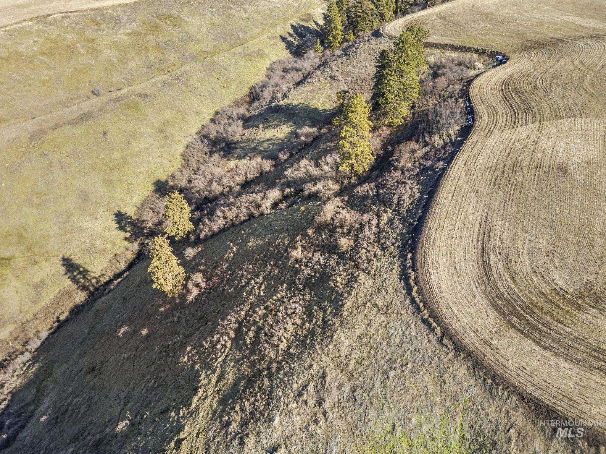 TBD Old Culdesac Road, Culdesac, Idaho 83524, Land For Sale, Price $315,000,MLS 98938179