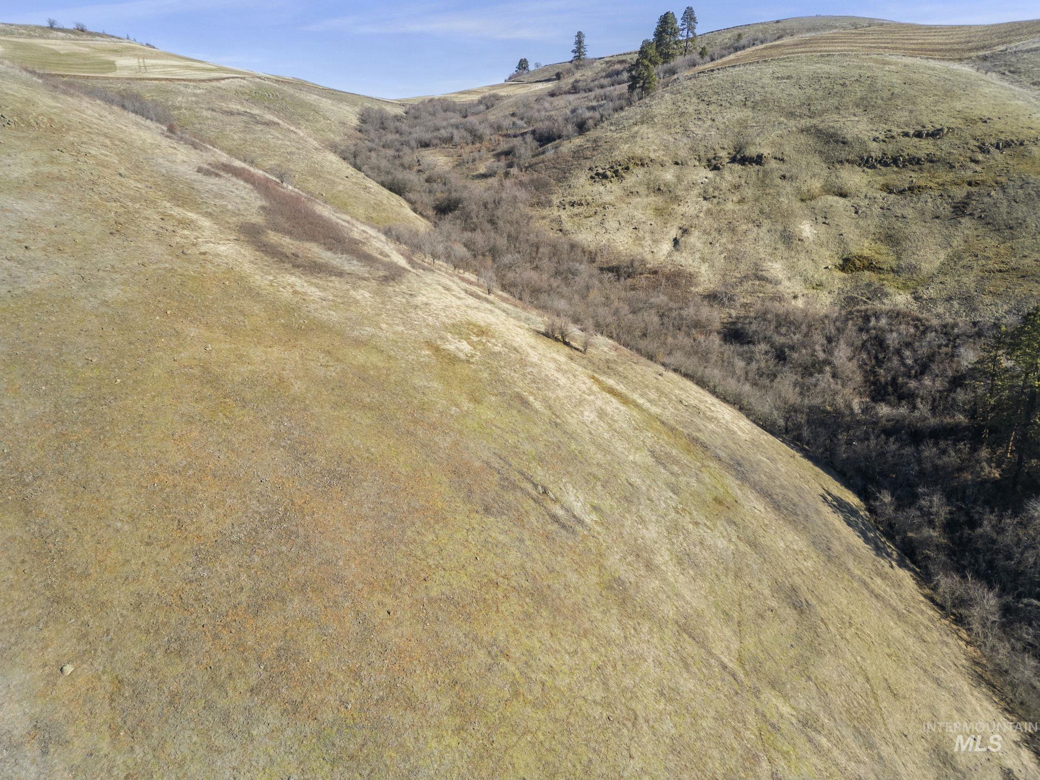 TBD Old Culdesac Road, Culdesac, Idaho 83524, Land For Sale, Price $315,000,MLS 98938179