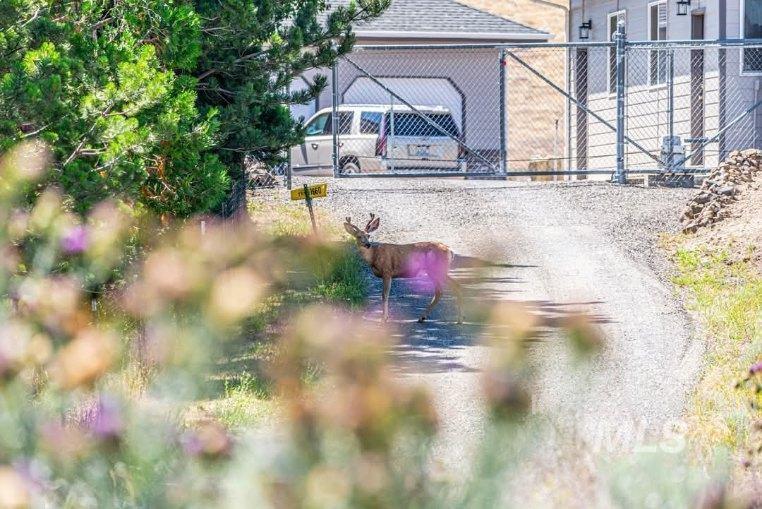 1780 Cherry Street, Clarkston, Washington 99403, Land For Sale, Price $275,000,MLS 98938446