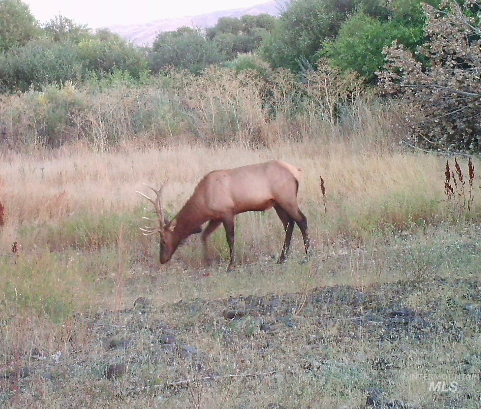 2117 Weiser River Road, Weiser, Idaho 83672, 3 Bedrooms, 1.5 Bathrooms, Farm & Ranch For Sale, Price $3,375,000,MLS 98939019