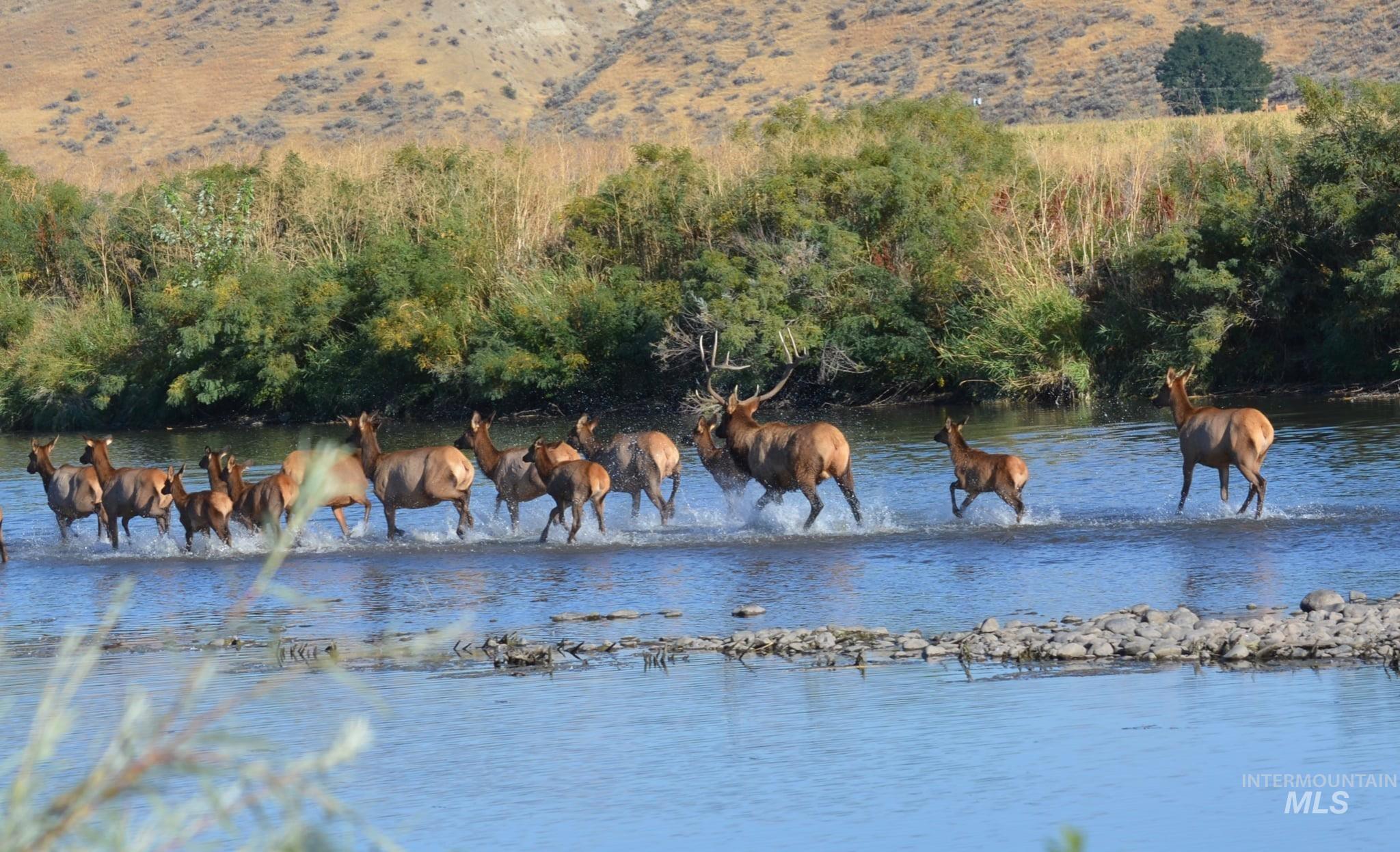 2117 Weiser River Road, Weiser, Idaho 83672, 3 Bedrooms, 1.5 Bathrooms, Farm & Ranch For Sale, Price $3,375,000,MLS 98939019