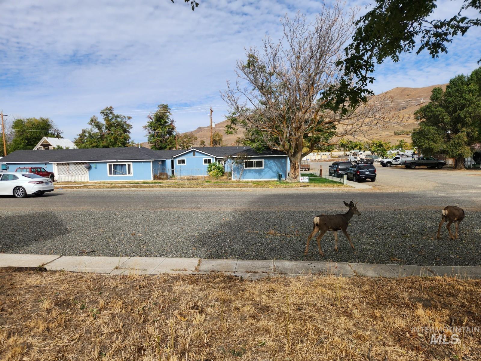 205 W Adams St, Huntington, Oregon 97907, 1 Bedroom, 1 Bathroom, Residential Income For Sale, Price $349,000, 98939322