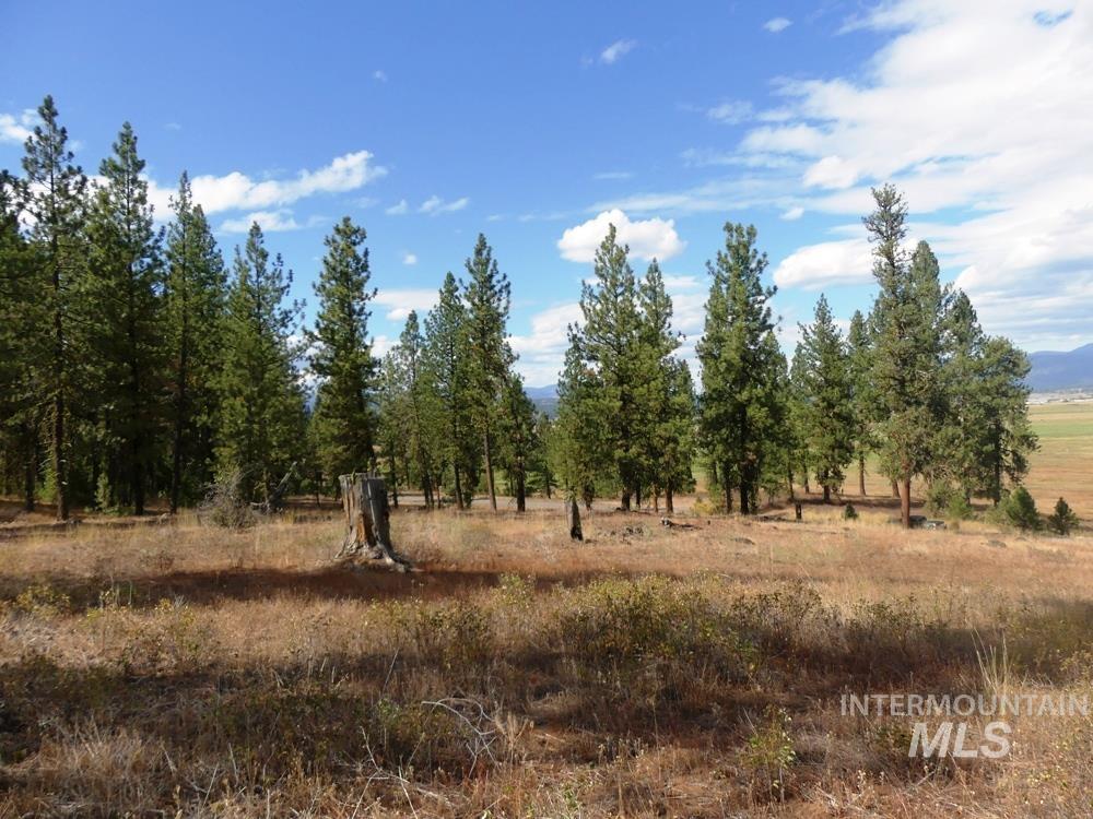 Lot 24 Timber Ridge, New Meadows, Idaho 83654, Land For Sale, Price $379,000,MLS 98939347