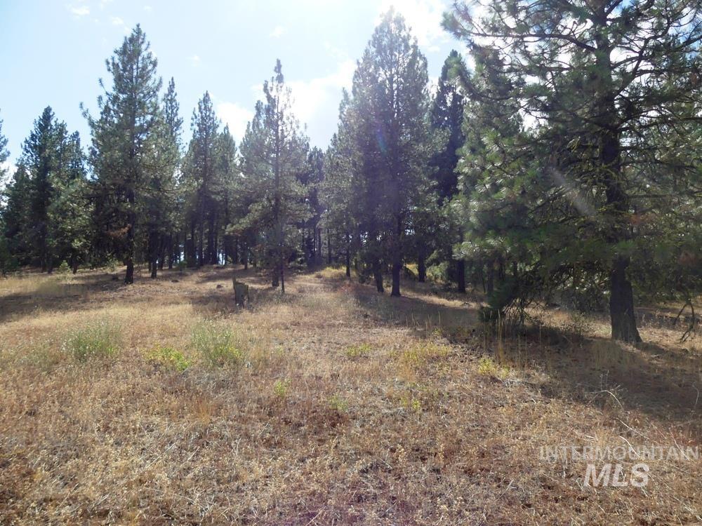 Lot 24 Timber Ridge, New Meadows, Idaho 83654, Land For Sale, Price $379,000,MLS 98939347