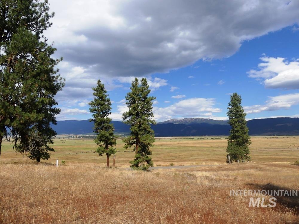 Lot 24 Timber Ridge, New Meadows, Idaho 83654, Land For Sale, Price $379,000,MLS 98939347