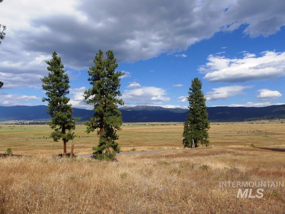 Lot 24 Timber Ridge, New Meadows, Idaho 83654, Land For Sale, Price $379,000,MLS 98939347