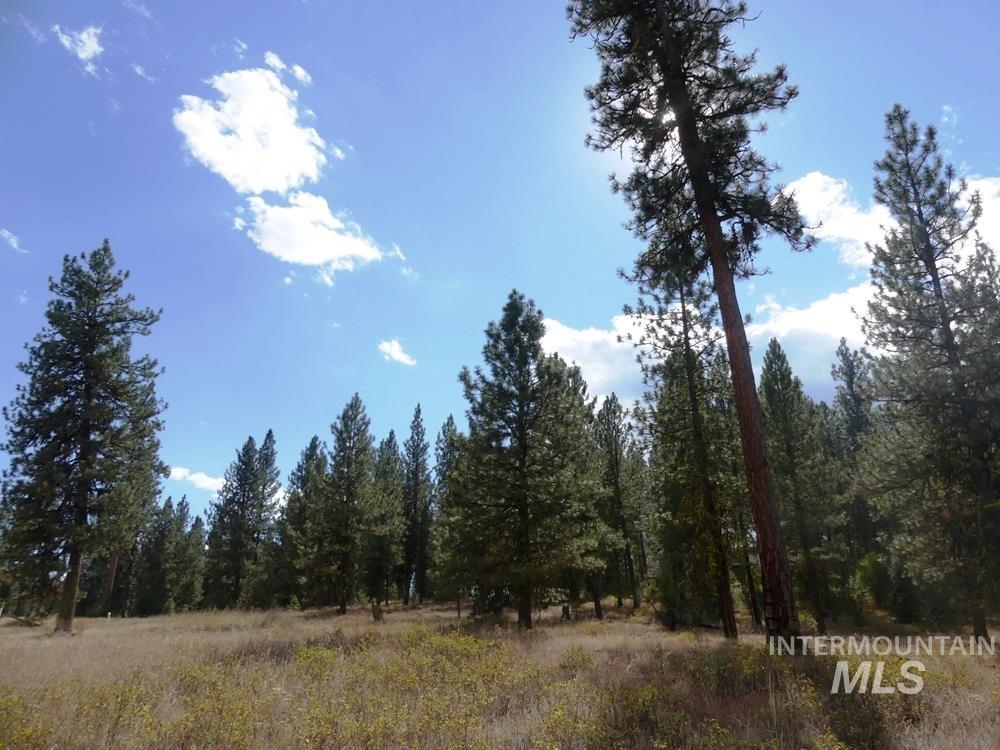 Lot 24 Timber Ridge, New Meadows, Idaho 83654, Land For Sale, Price $379,000,MLS 98939347