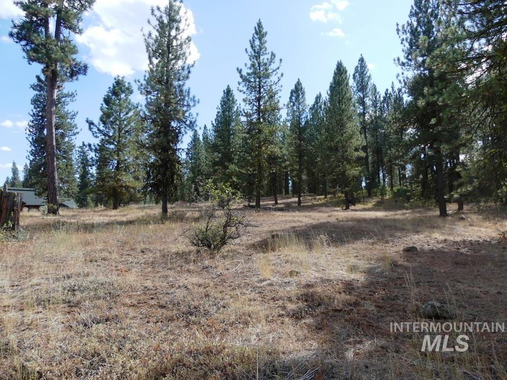 Lot 24 Timber Ridge, New Meadows, Idaho 83654, Land For Sale, Price $379,000,MLS 98939347