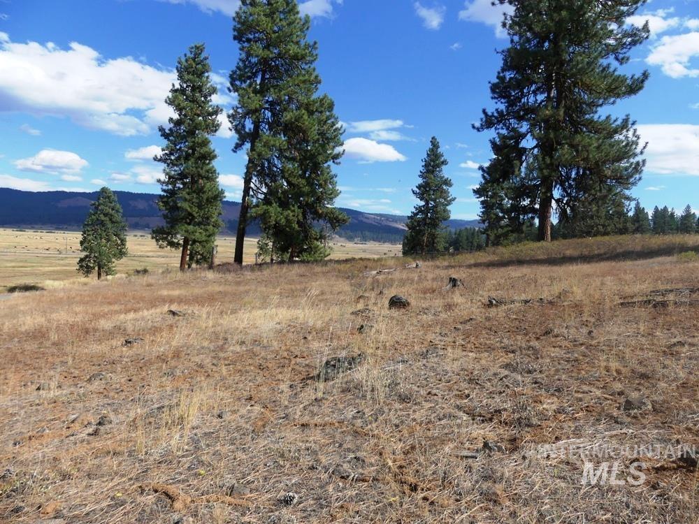 Lot 24 Timber Ridge, New Meadows, Idaho 83654, Land For Sale, Price $379,000,MLS 98939347