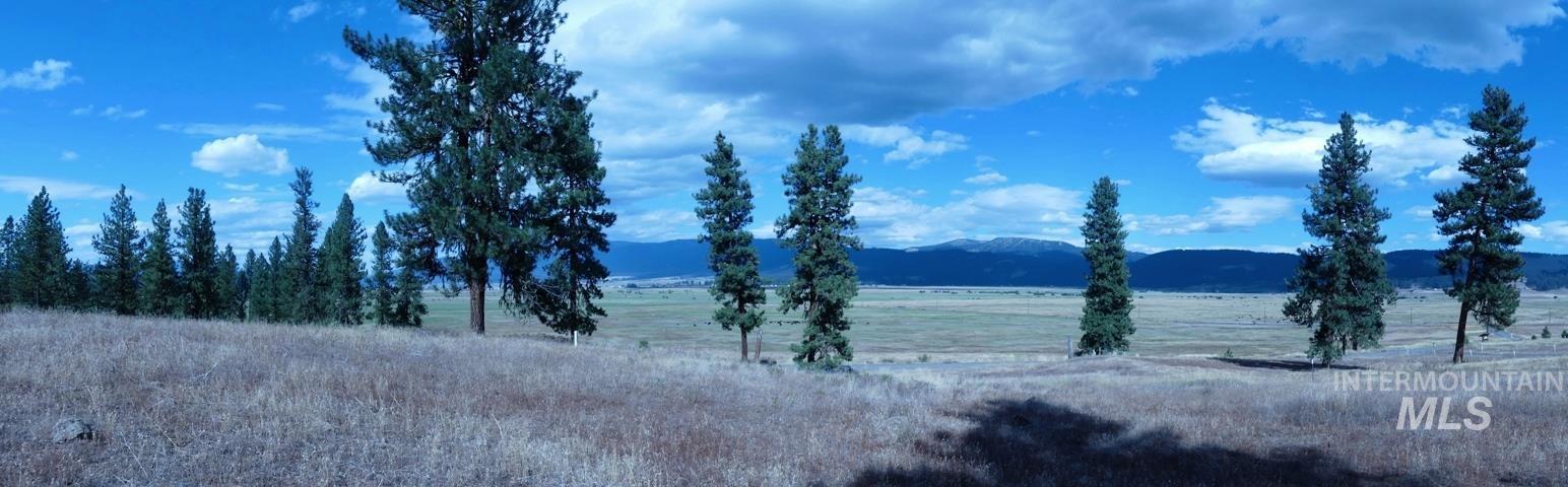 Lot 24 Timber Ridge, New Meadows, Idaho 83654, Land For Sale, Price $379,000,MLS 98939347