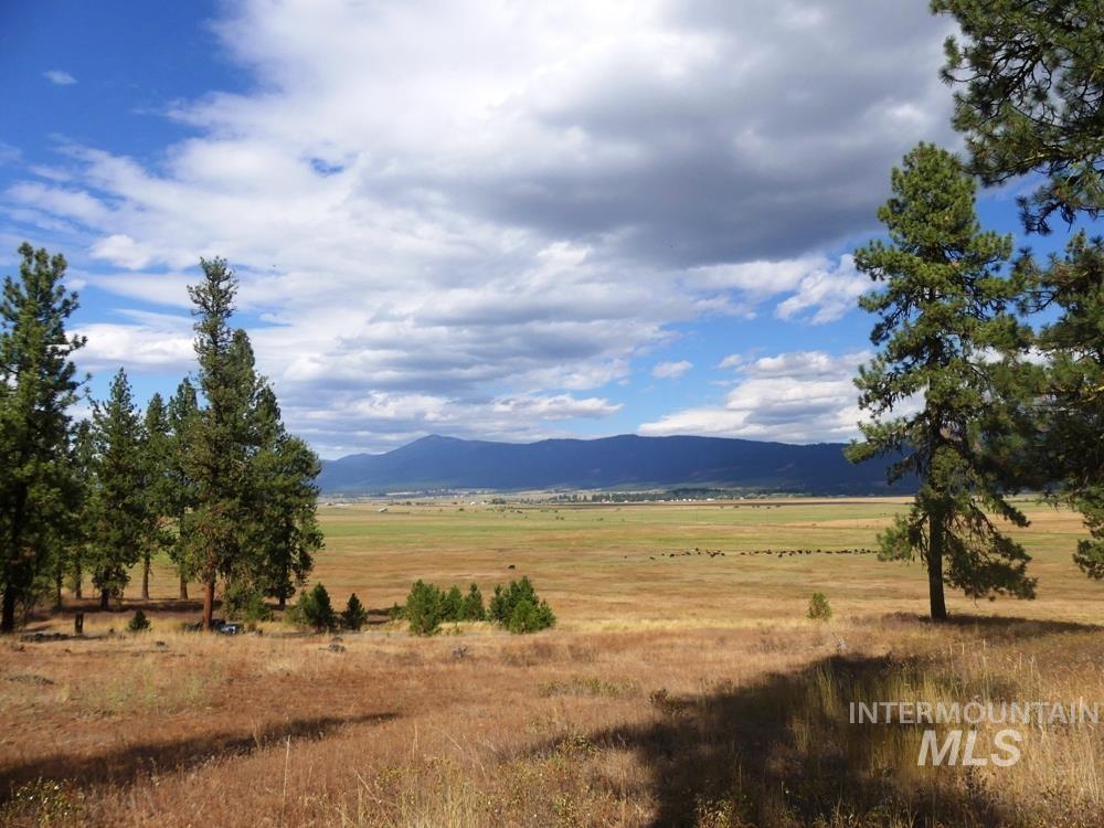 Lot 24 Timber Ridge, New Meadows, Idaho 83654, Land For Sale, Price $379,000,MLS 98939347