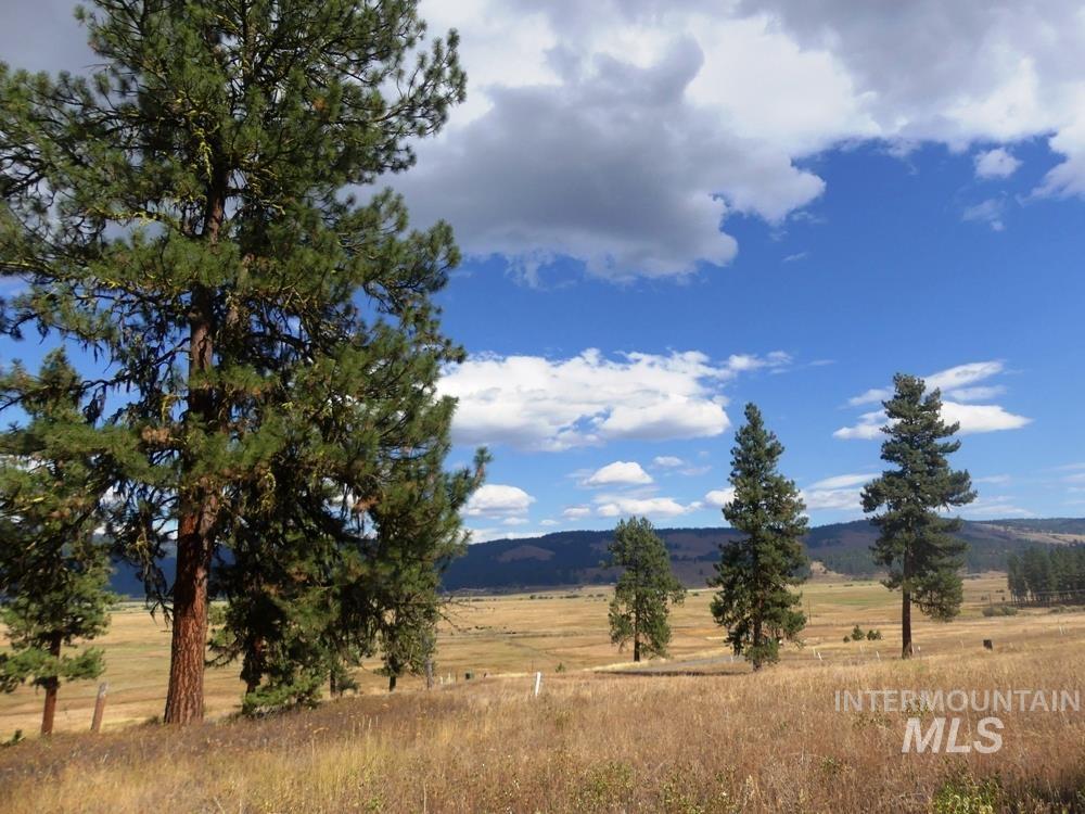 Lot 24 Timber Ridge, New Meadows, Idaho 83654, Land For Sale, Price $379,000,MLS 98939347