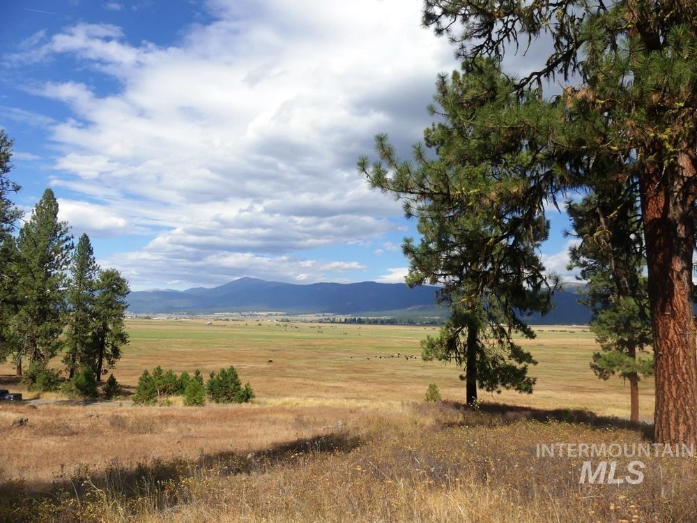 Lot 24 Timber Ridge, New Meadows, Idaho 83654, Land For Sale, Price $379,000,MLS 98939347