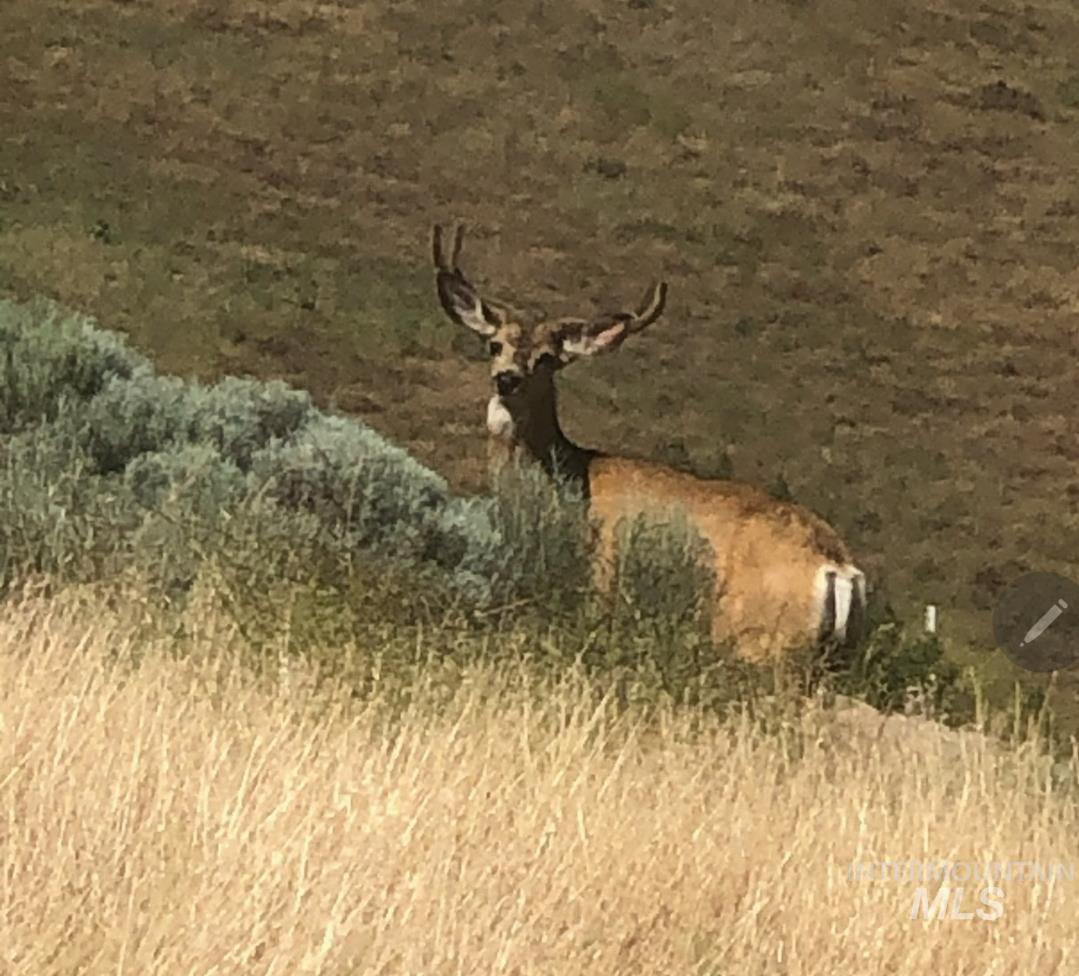 2871 Hwy 12, Clarkston, Washington 99403, 3 Bedrooms, 3 Bathrooms, Residential For Sale, Price $1,299,999,MLS 98939490