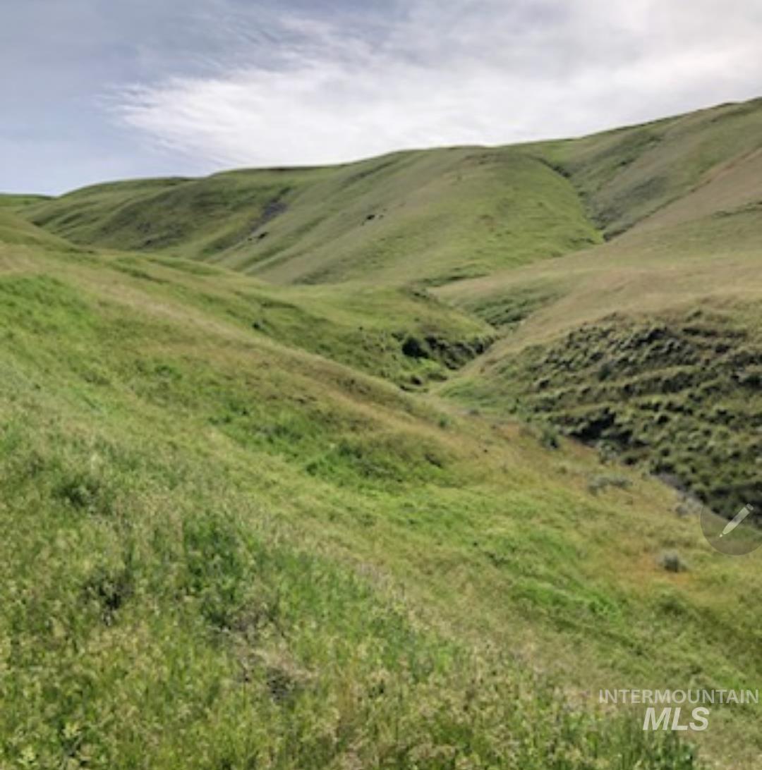 2871 Hwy 12, Clarkston, Washington 99403, 3 Bedrooms, 3 Bathrooms, Residential For Sale, Price $1,299,999,MLS 98939490