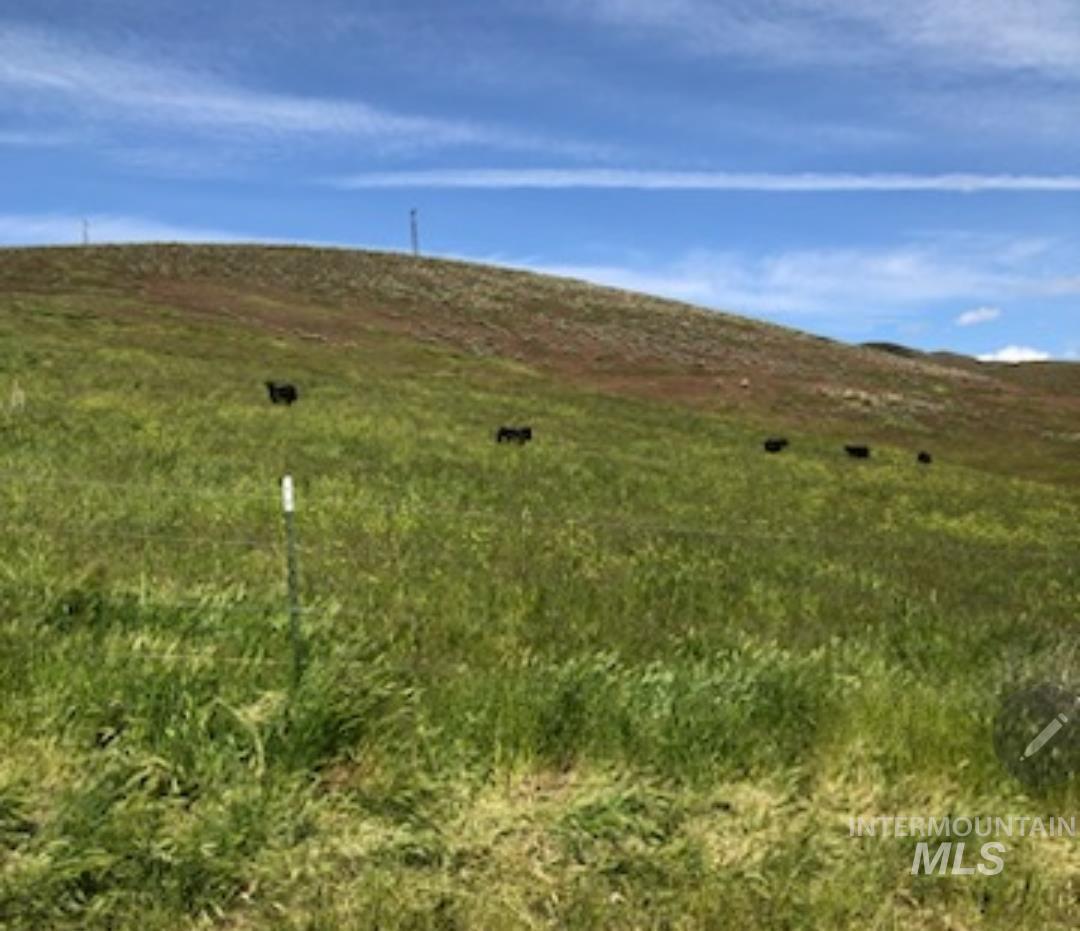 2871 Hwy 12, Clarkston, Washington 99403, 3 Bedrooms, 3 Bathrooms, Residential For Sale, Price $1,299,999,MLS 98939490