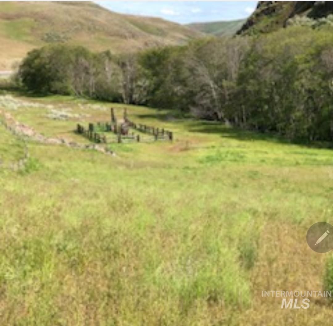 2871 Hwy 12, Clarkston, Washington 99403, 3 Bedrooms, 3 Bathrooms, Residential For Sale, Price $1,299,999,MLS 98939490