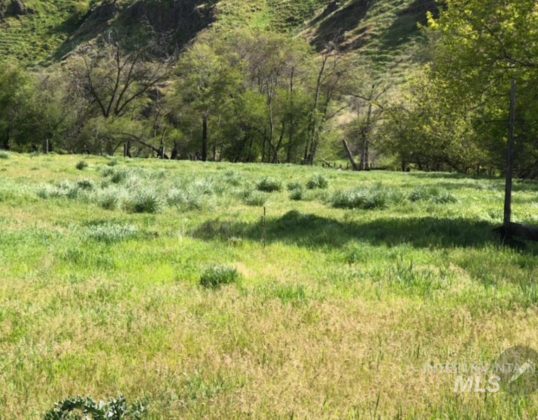 2871 Hwy 12, Clarkston, Washington 99403, 3 Bedrooms, 3 Bathrooms, Residential For Sale, Price $1,299,999,MLS 98939490