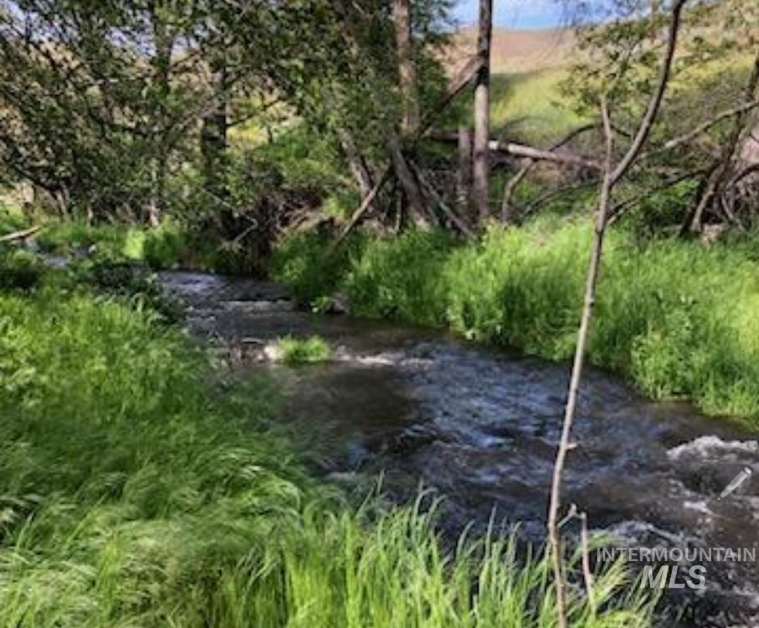 2871 Hwy 12, Clarkston, Washington 99403, 3 Bedrooms, 3 Bathrooms, Residential For Sale, Price $1,299,999,MLS 98939490