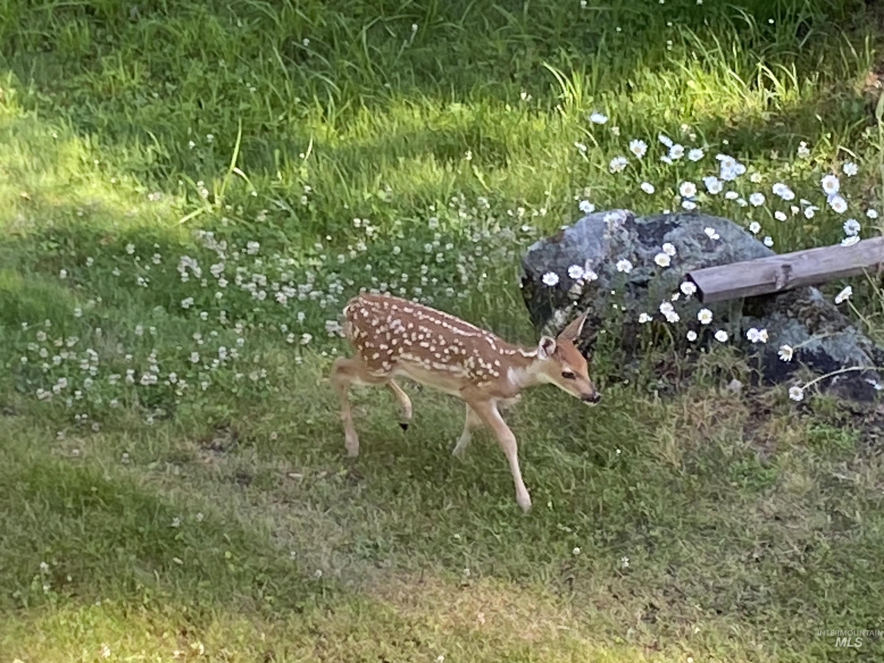 24 Castle Meadow Dr, Garden Valley, Idaho 83622, 3 Bedrooms, 3 Bathrooms, Residential For Sale, Price $525,000,MLS 98939512