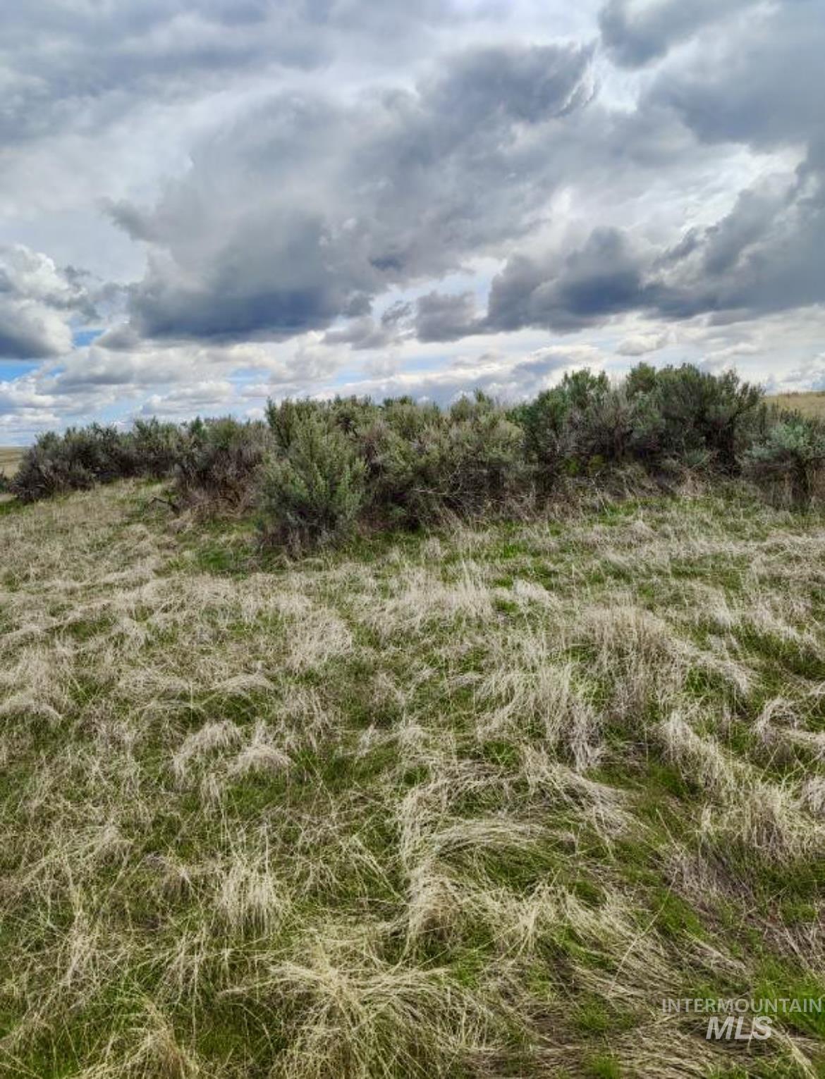 2450 1st Lane E Lot B, Parma, Idaho 83660, Land For Sale, Price $449,900,MLS 98939660