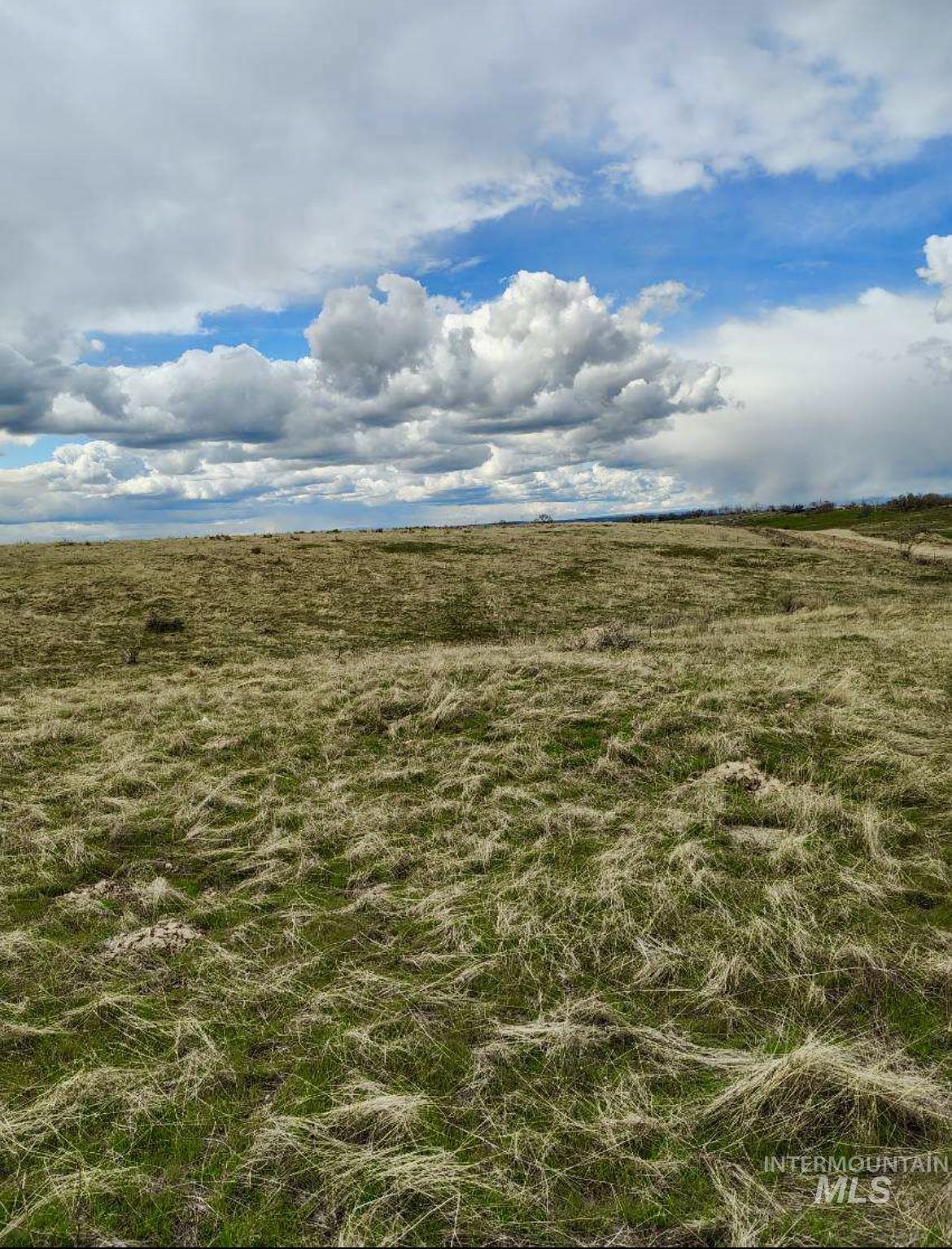 2450 1st Lane E Lot B, Parma, Idaho 83660, Land For Sale, Price $449,900,MLS 98939660