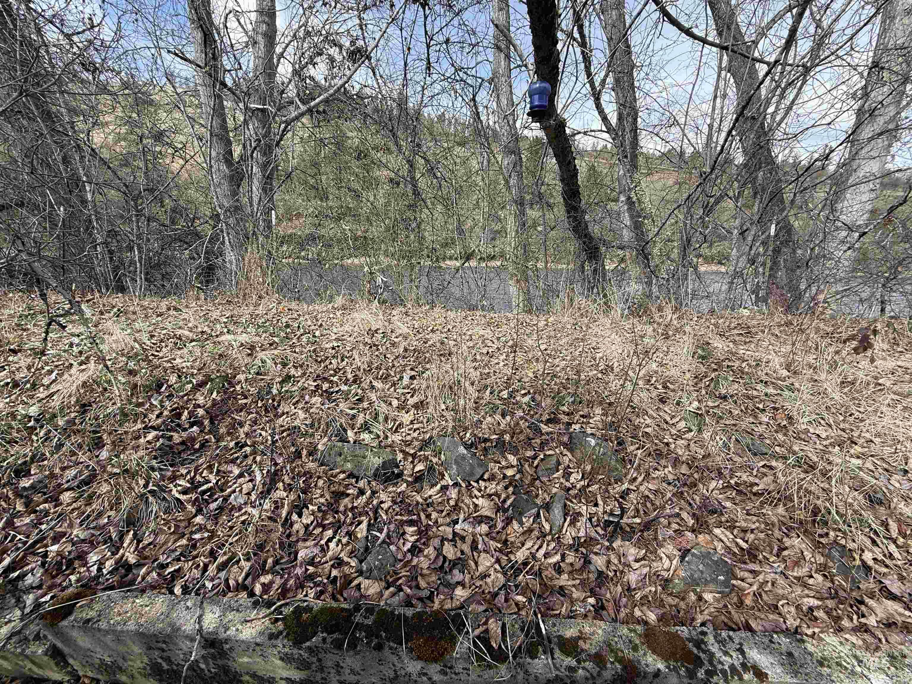 3731 Highway 13, Stites, Idaho 83552, 3 Bedrooms, 2 Bathrooms, Residential For Sale, Price $399,000,MLS 98939853