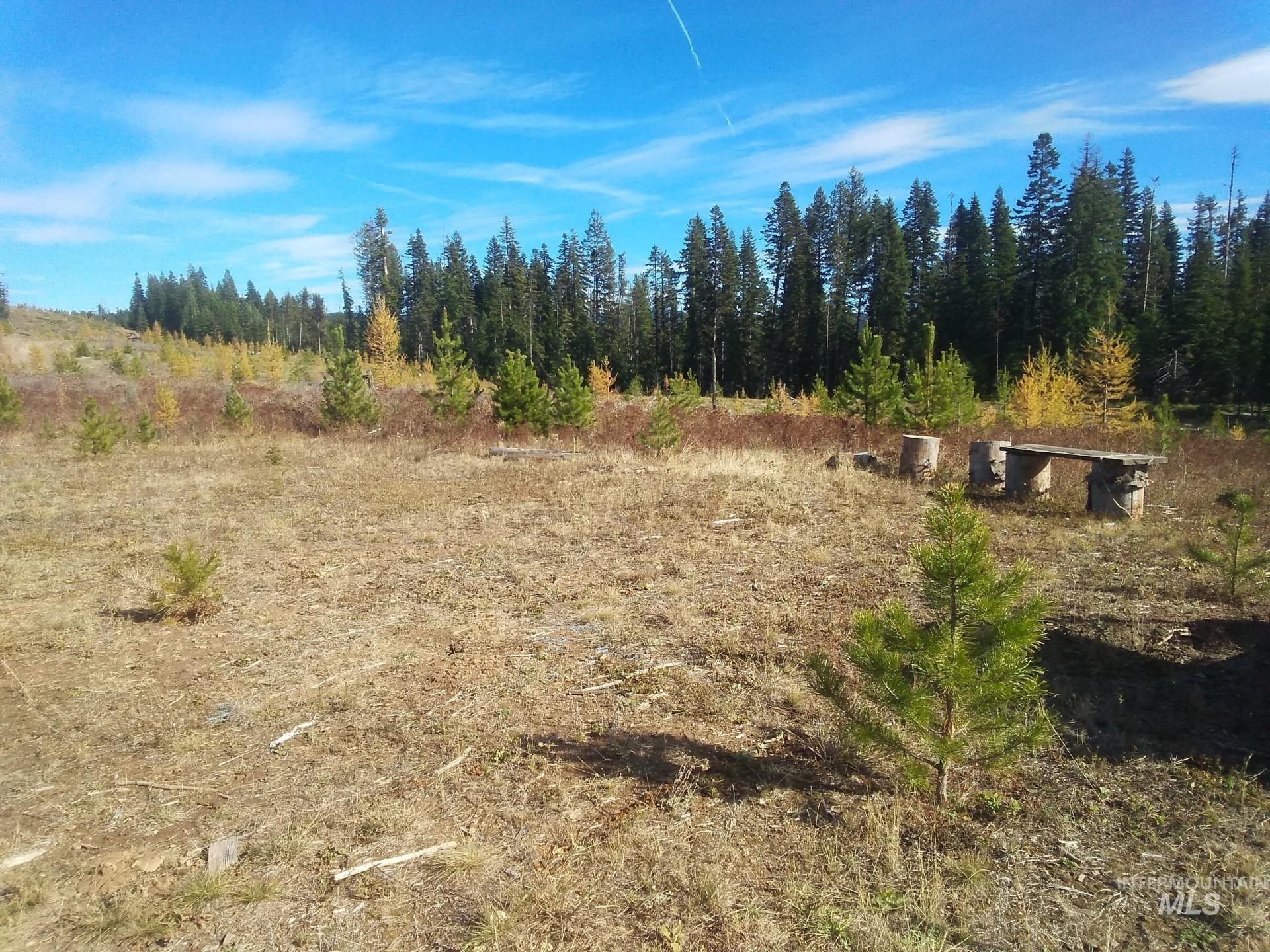 TBD French Gulch Rd Parcel 2 & 3, Elk City, Idaho 83525, Residential For Sale, Price $459,000,MLS 98939908