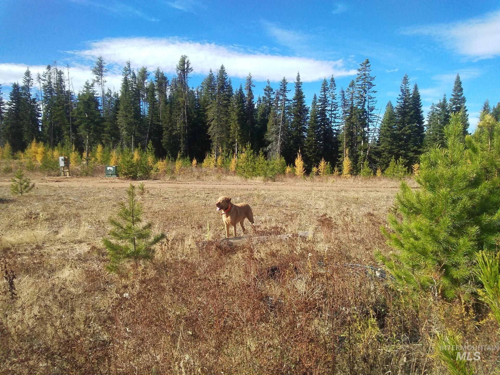 TBD French Gulch Rd Parcel 2 & 3, Elk City, Idaho 83525, Residential For Sale, Price $459,000,MLS 98939908