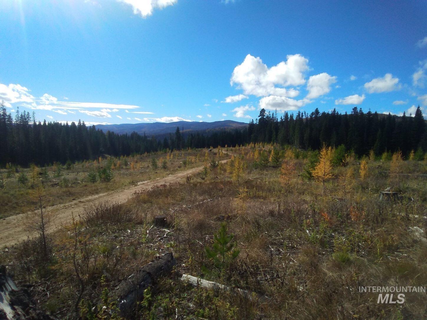 TBD French Gulch Rd Parcel 2 & 3, Elk City, Idaho 83525, Residential For Sale, Price $459,000,MLS 98939908