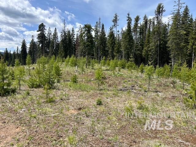 TBD French Gulch Rd Parcel 2 & 3, Elk City, Idaho 83525, Residential For Sale, Price $459,000,MLS 98939908
