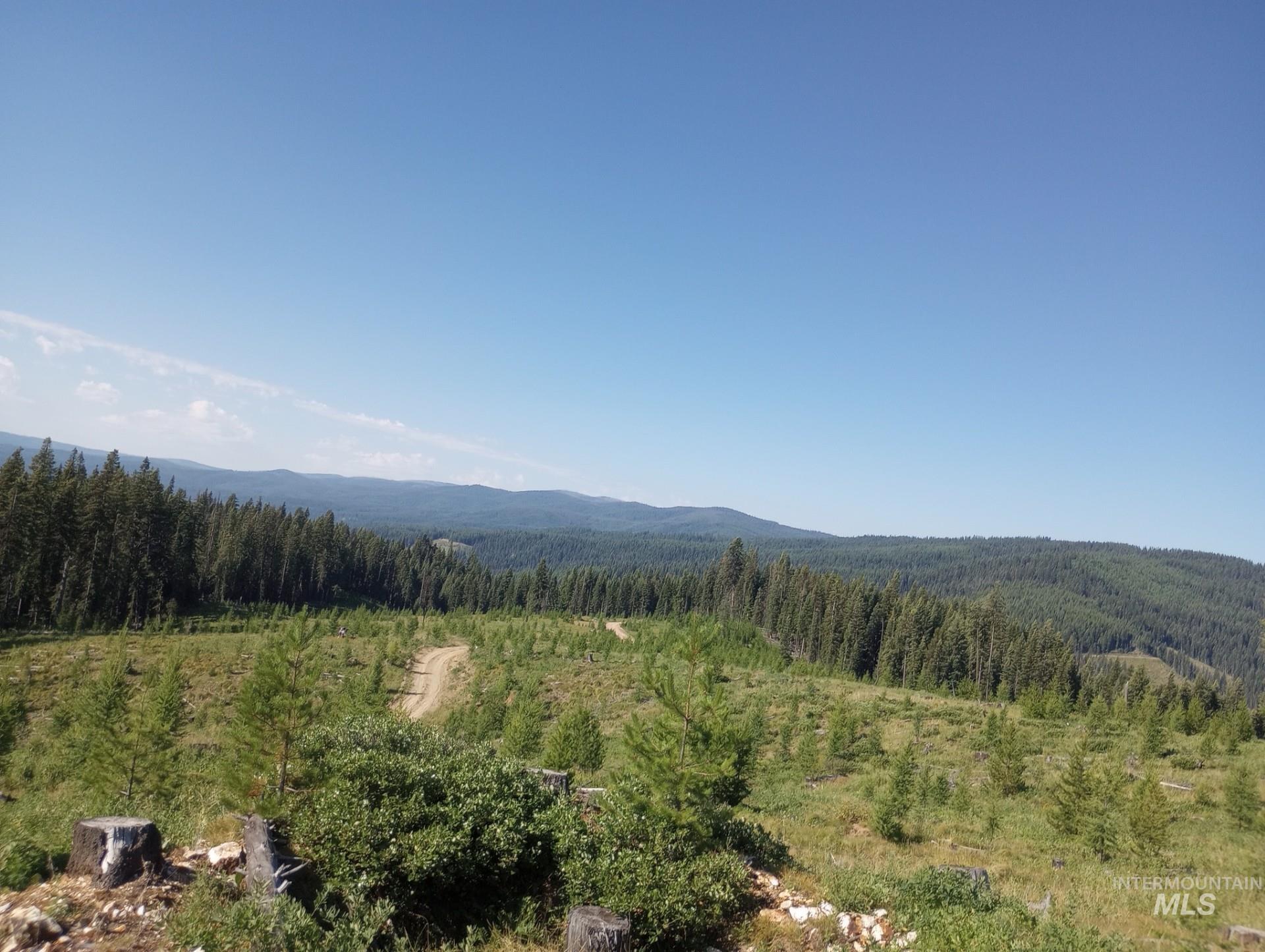 TBD French Gulch Rd Parcel 2 & 3, Elk City, Idaho 83525, Residential For Sale, Price $459,000,MLS 98939908